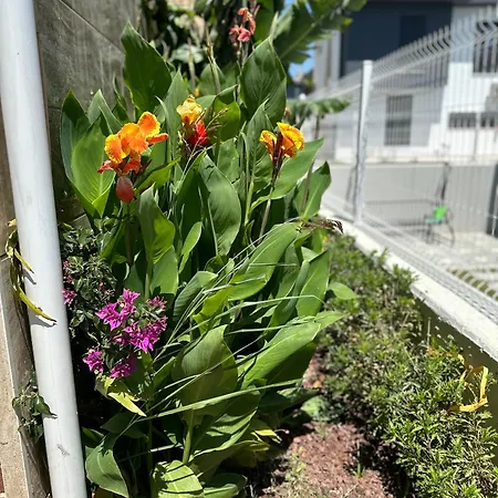 Villa Argun Private *