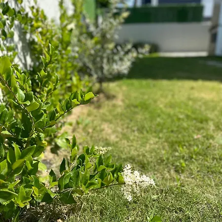 Argun Private Villa *