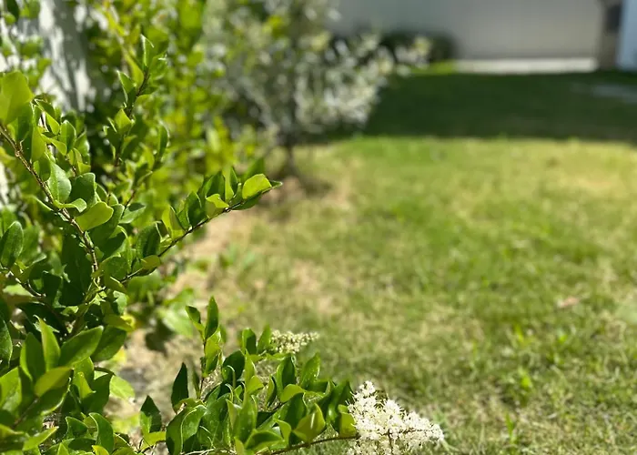 Argun Private Villa *